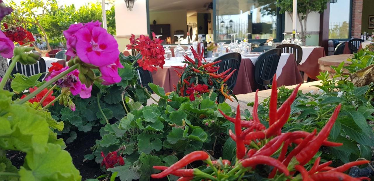 Villa Antonino จีอาร์ดีนี นักซอส ภายนอก รูปภาพ